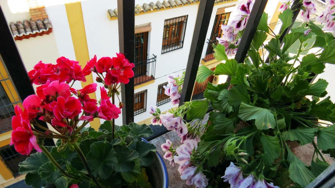 Patios De San Pedro Apartman Córdoba Kültér fotó