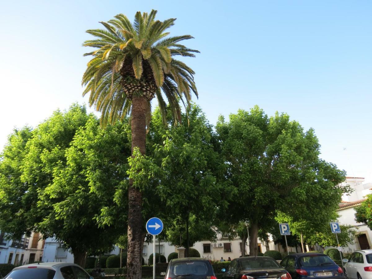 Patios De San Pedro Apartman Córdoba Kültér fotó